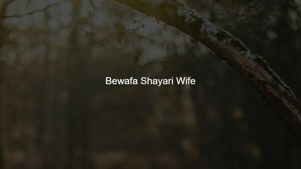 bewafa wife shayari image