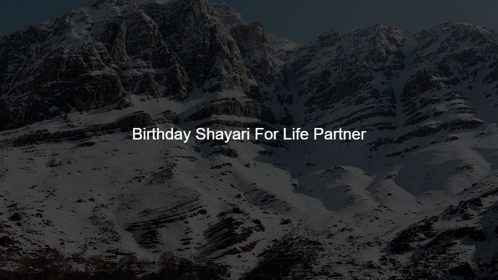 birthday shayari for wife