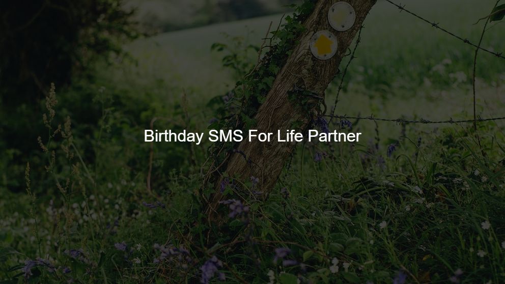 birthday wishes love sms in hindi