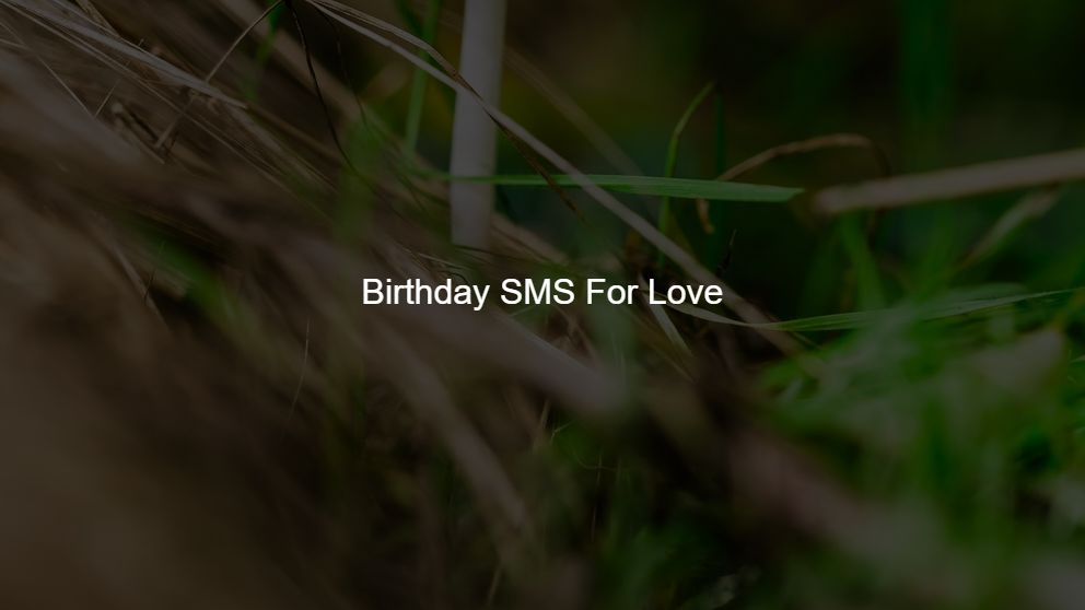 birthday wishes sms in hindi for son