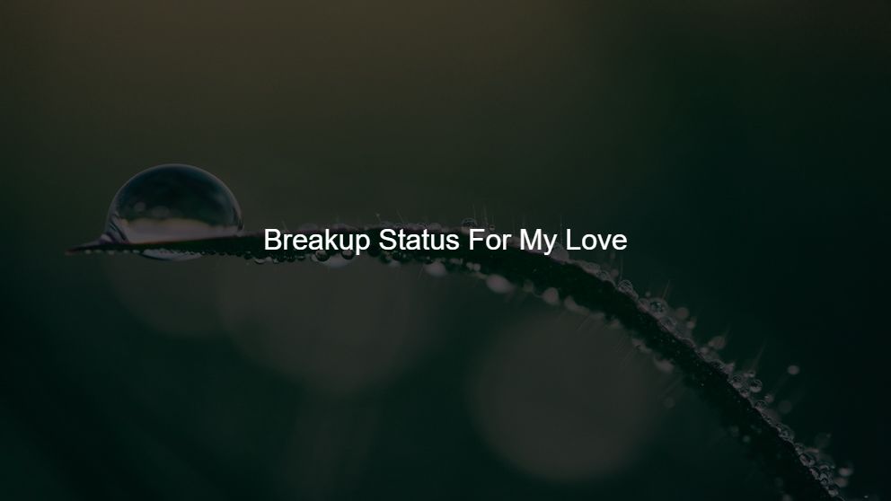 breakup punjabi status