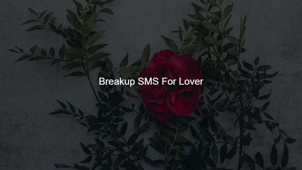 breakup sms in alone