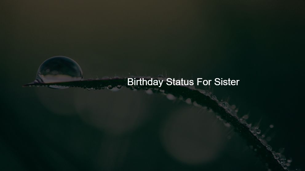 Birthday Status For Sister