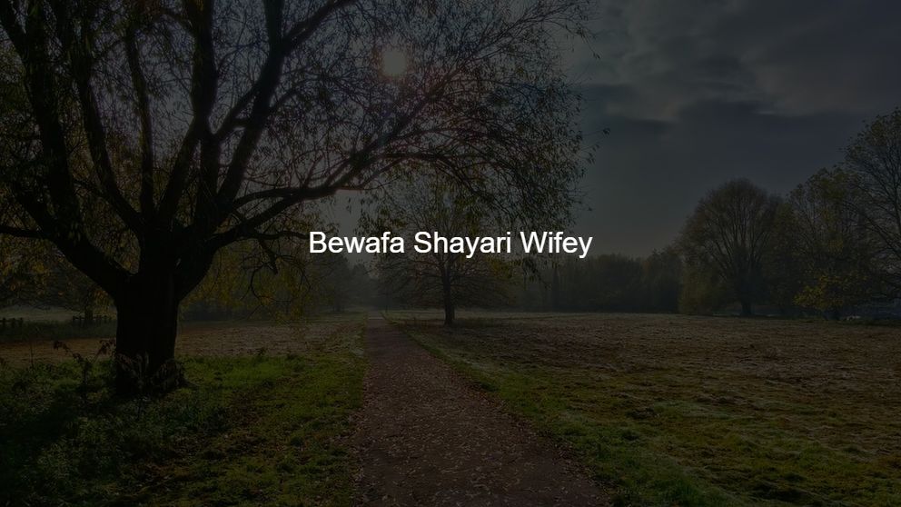 125 + Bewafa Shayari For Wifey [latest]