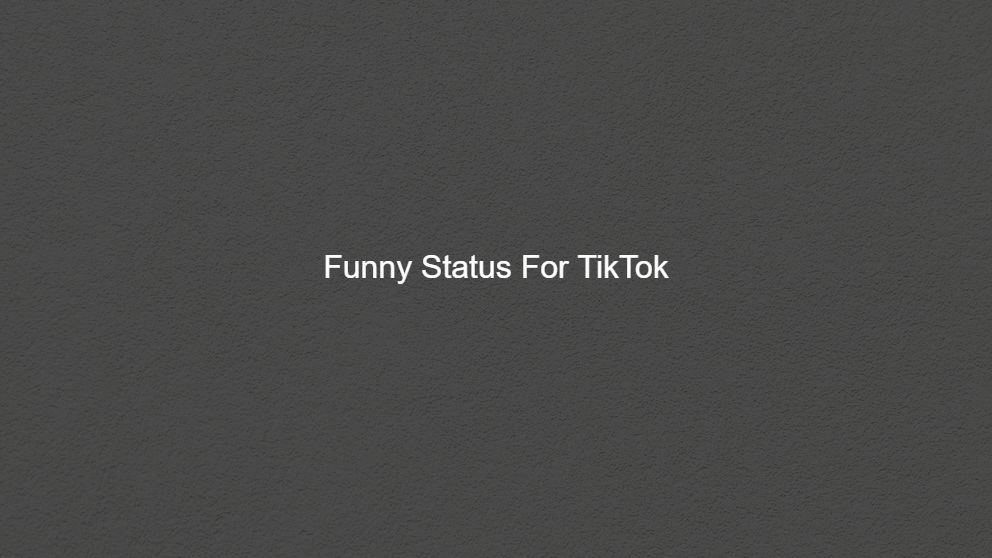 Funny Status For TikTok