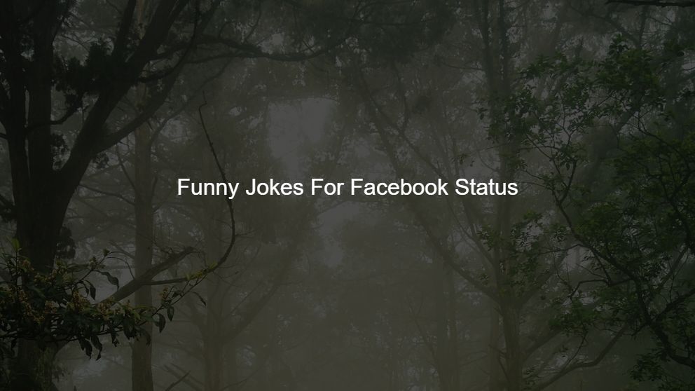175+ Funny Jokes For Facebook Status