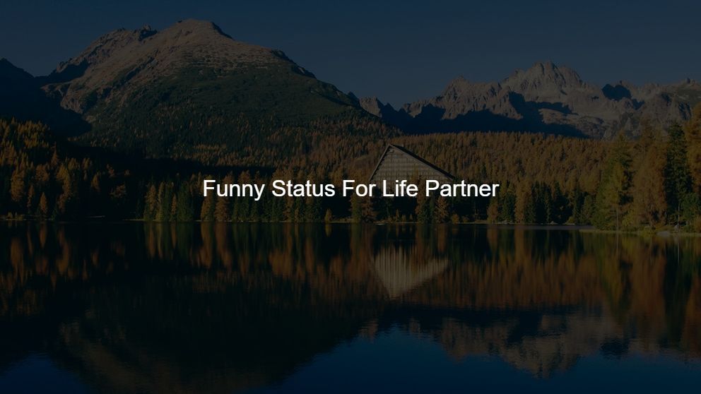 Top 75 Funny Status For Life Partner