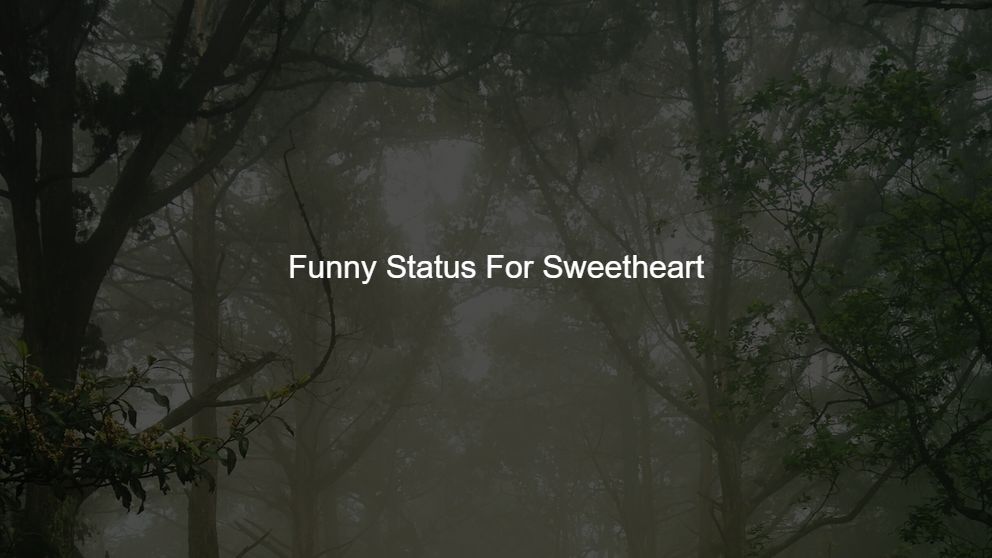 500+ Latest Funny Status For Sweetheart