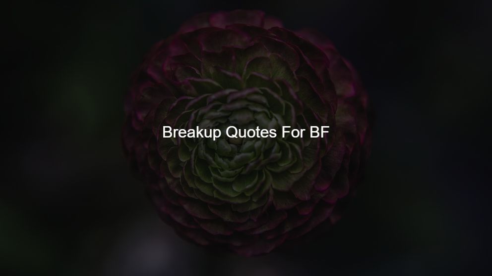 Best 150 Breakup Quotes For BF