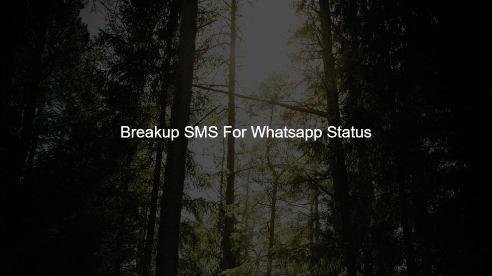 Breakup SMS For Whatsapp Status