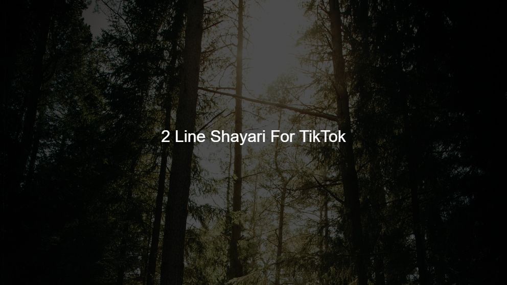 2 line romantic shayari