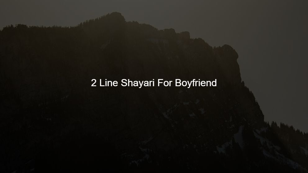 Top 475 2 Line Shayari For Boyfriend