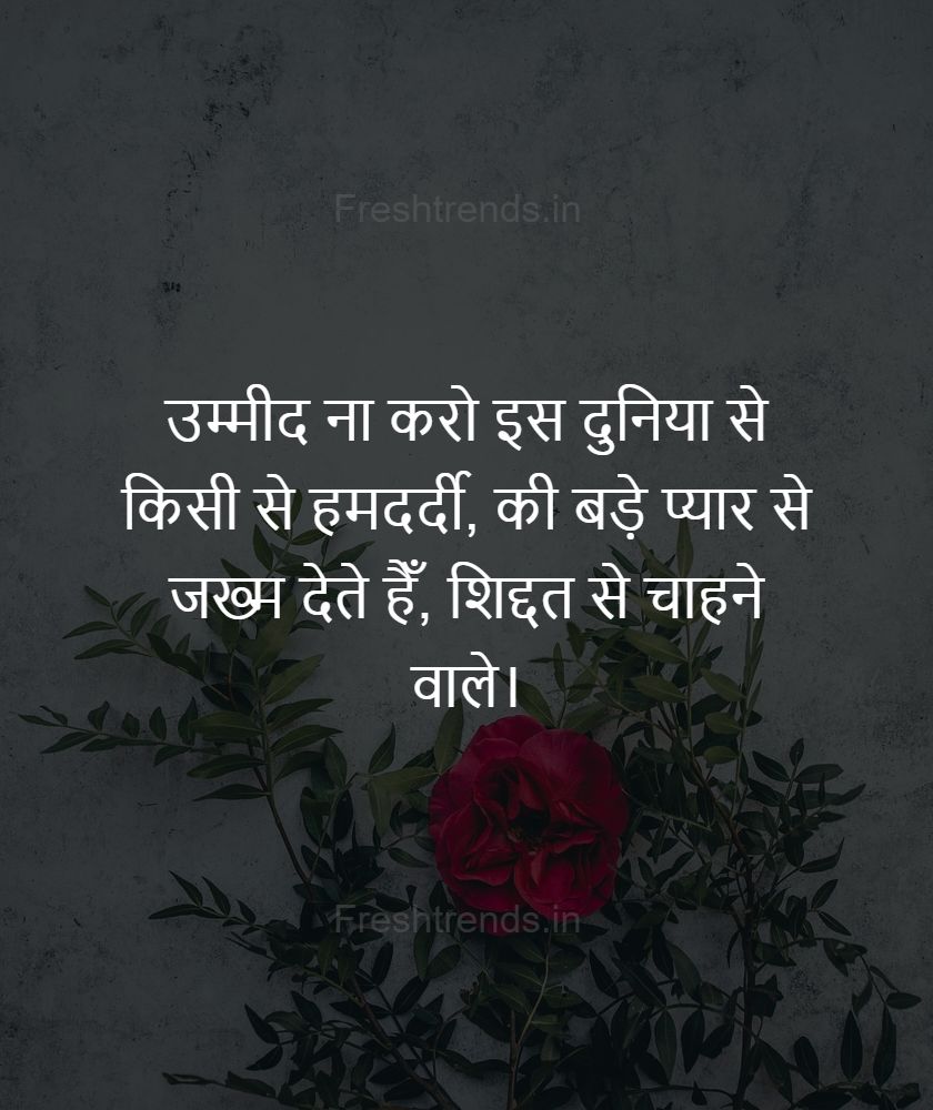 2 line shayari in hindi attitude