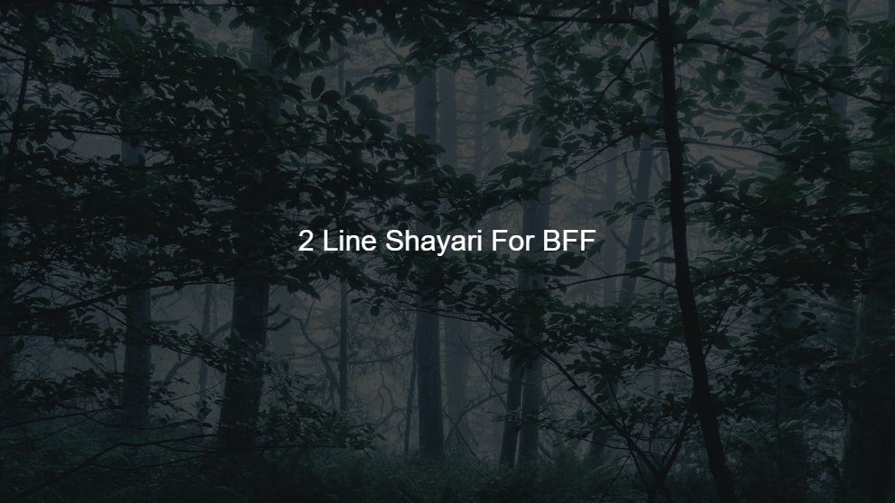 Latest 250 2 Line Shayari For BFF