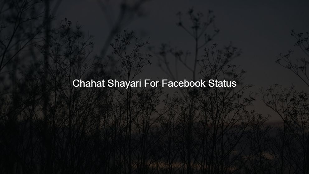 2 line status chahat shayari in hindi for boyfriend
