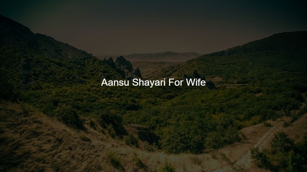 Latest 350 Aansu Shayari For Wife