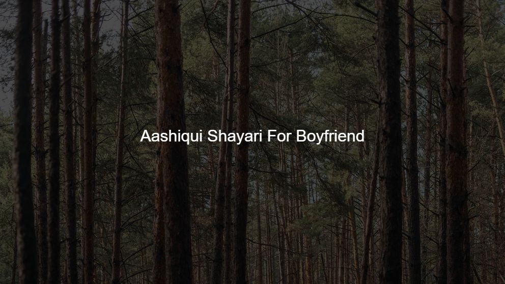 Latest 75 Aashiqui Shayari For Boyfriend