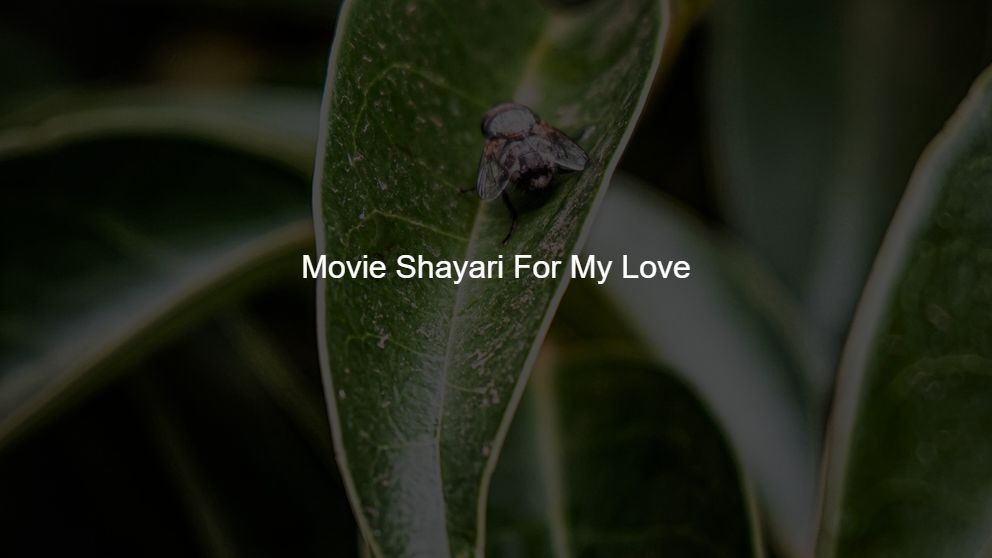 Best 225 Movie Shayari For My Love