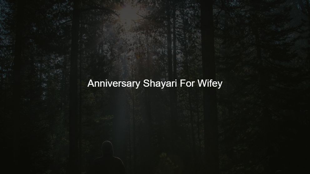 Top 375 Anniversary Shayari For Wifey