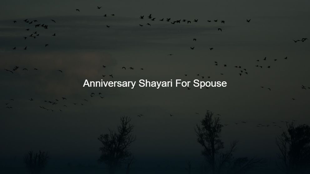 Top 450 Anniversary Shayari For Spouse