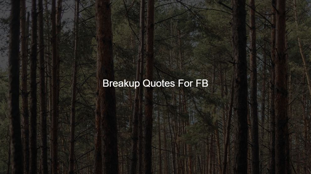 Best 75 Breakup Quotes For FB