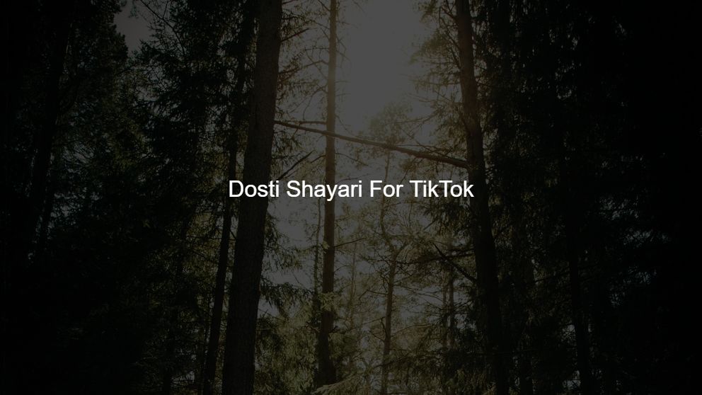 Best 350 Dosti Shayari For TikTok