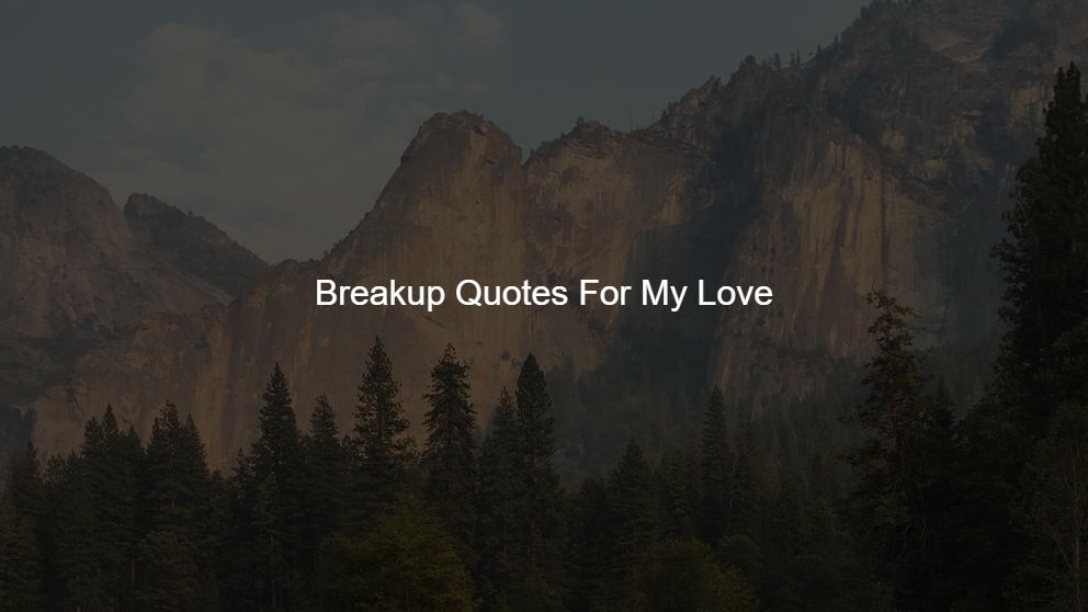 Best 350 Breakup Quotes For My Love
