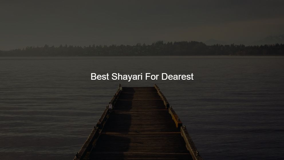 Best 375 Best Shayari For Friends