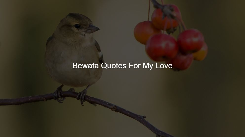 bewafa quotes in urdu for girlfriend