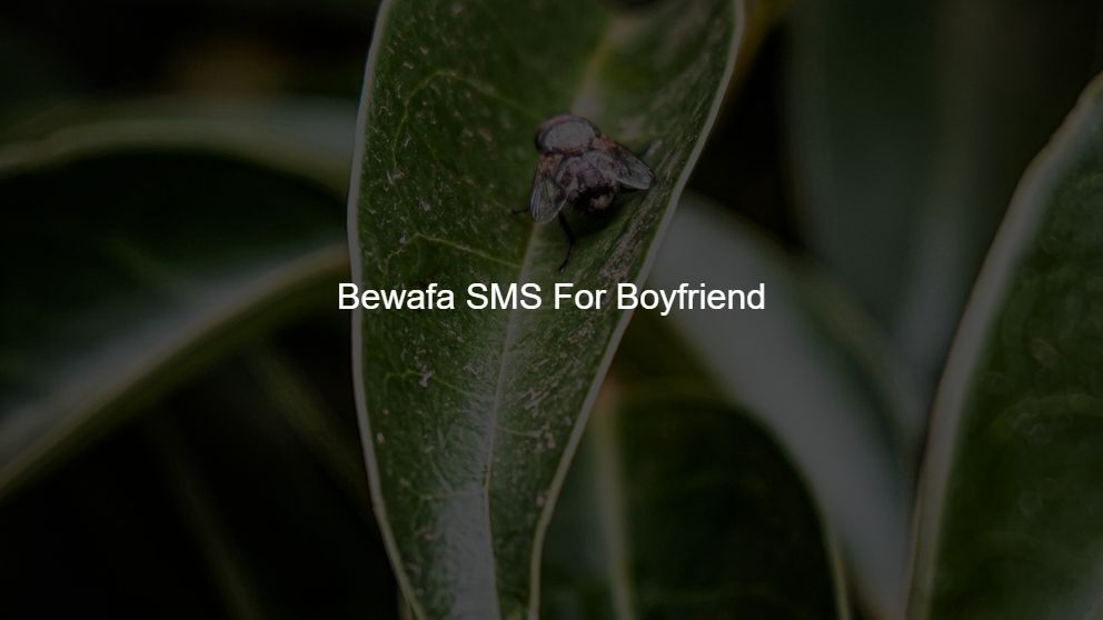 Top 500 Bewafa SMS For Boyfriend