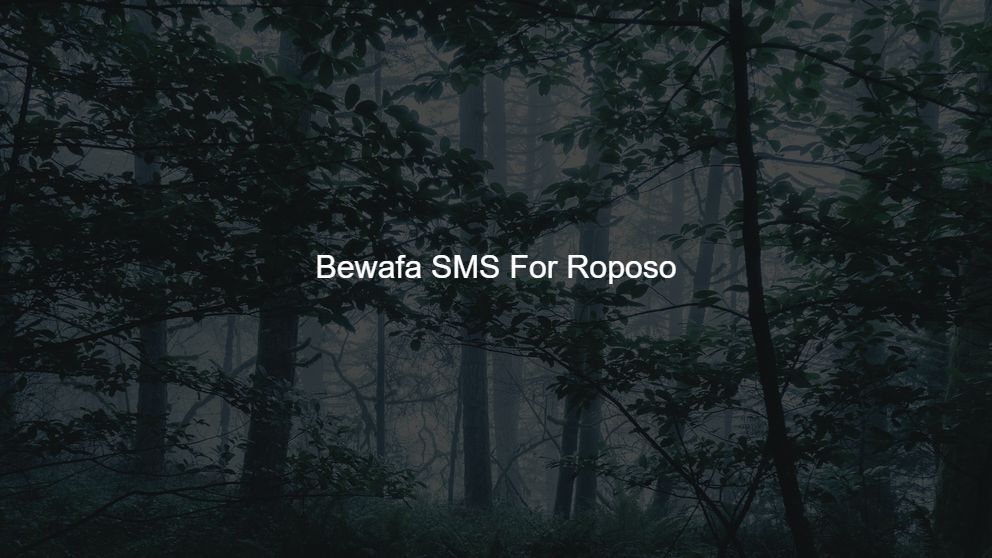 Top 125 Bewafa SMS For Roposo