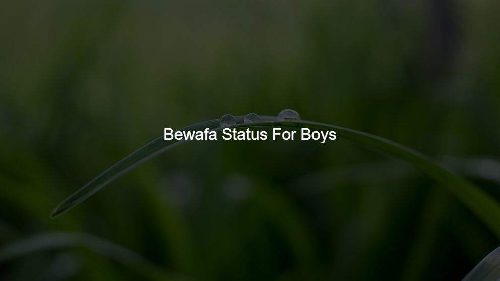 Best 10 Bewafa Status For Boys