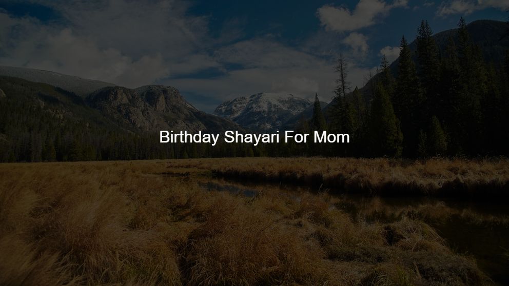 Top 350 Birthday Shayari For Mom