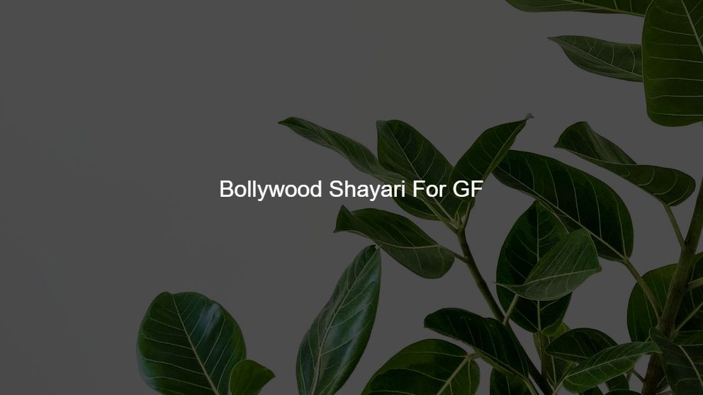 Top 500 Bollywood Shayari For GF