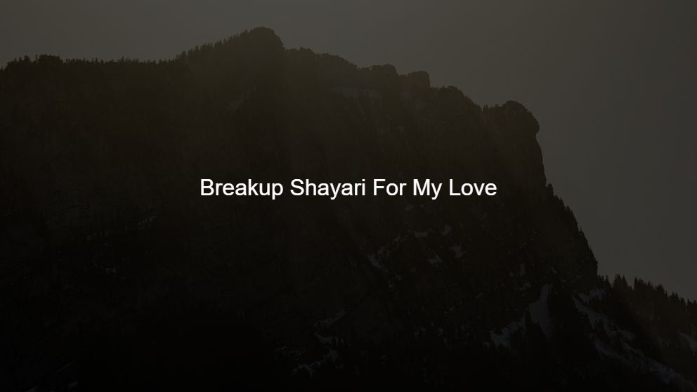 breakup shayari in two lines in english