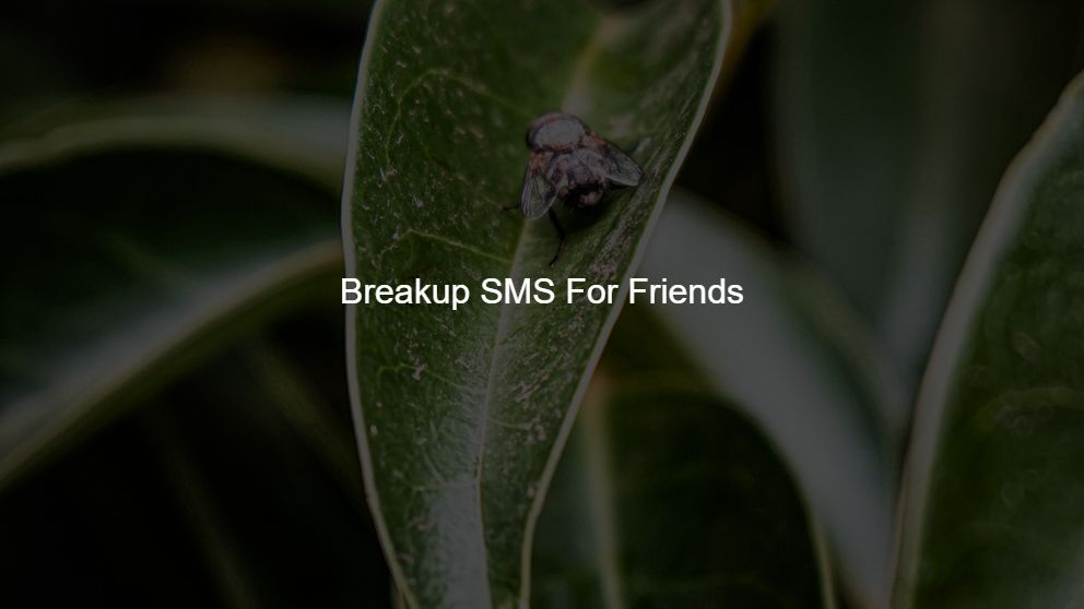 Top 475 Breakup SMS For Dearest