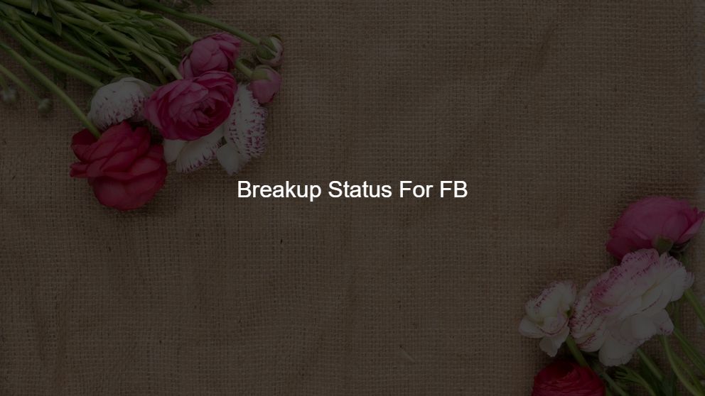 Best 375 Breakup Status For FB