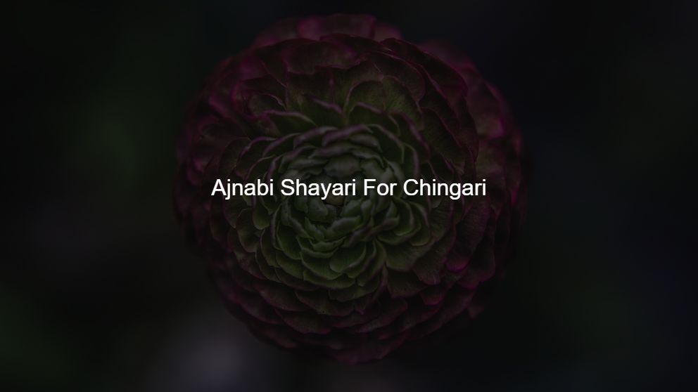 Best 400 Ajnabi Shayari For Chingari