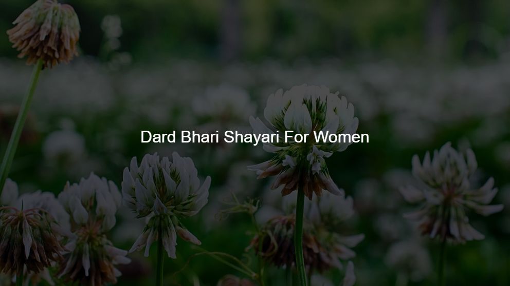 Top 325 Dard Bhari Shayari For Woman