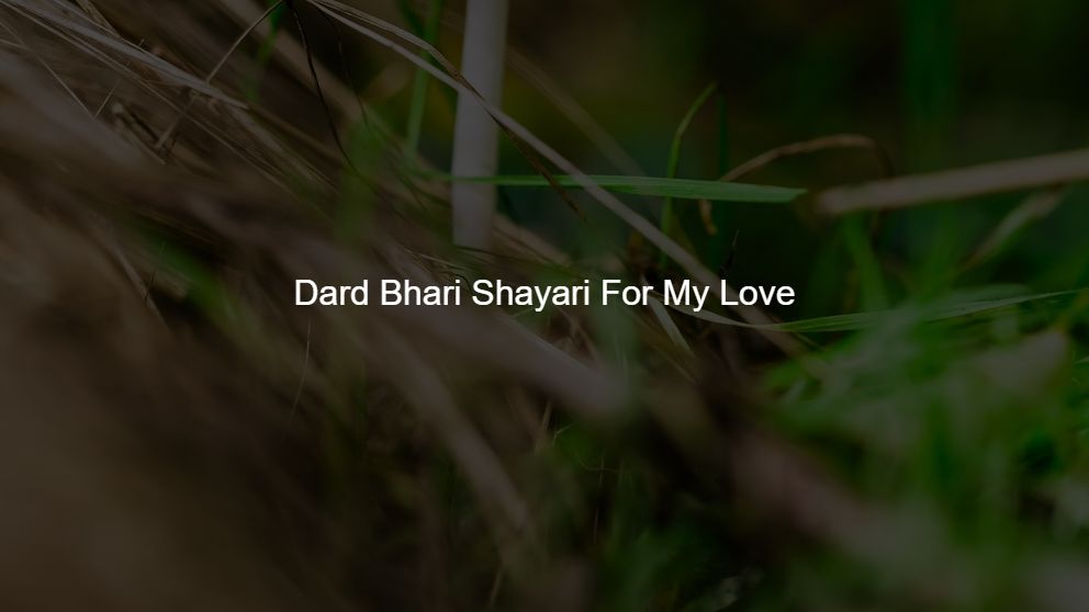 Best 200 Dard Bhari Shayari For My Love