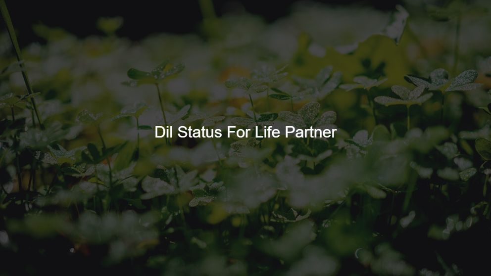 Top 450 Dil Status For Life Partner