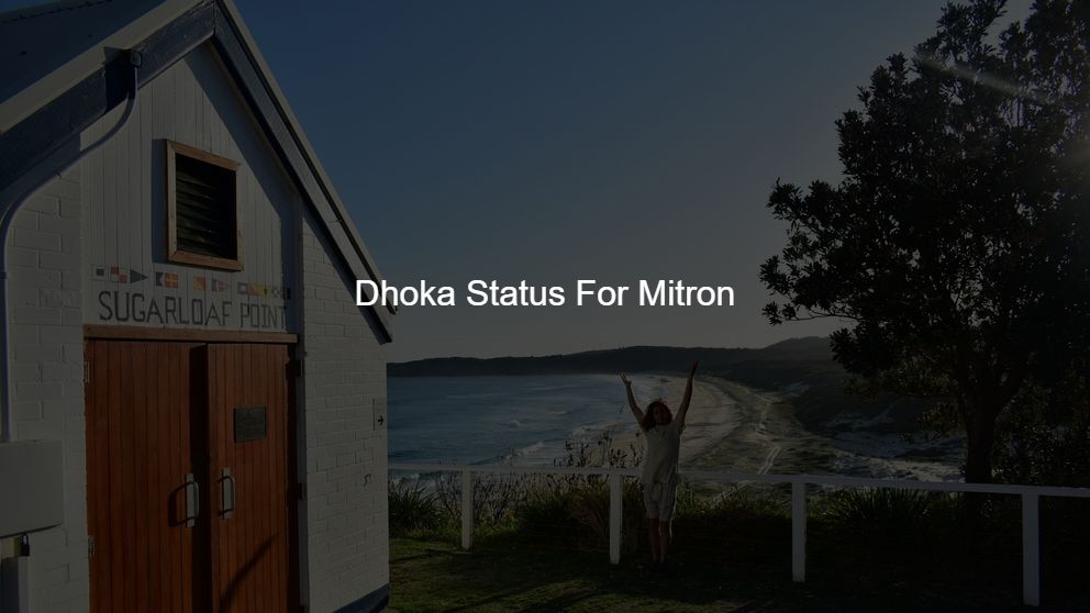 Top 450 Dhoka Status For Mitron