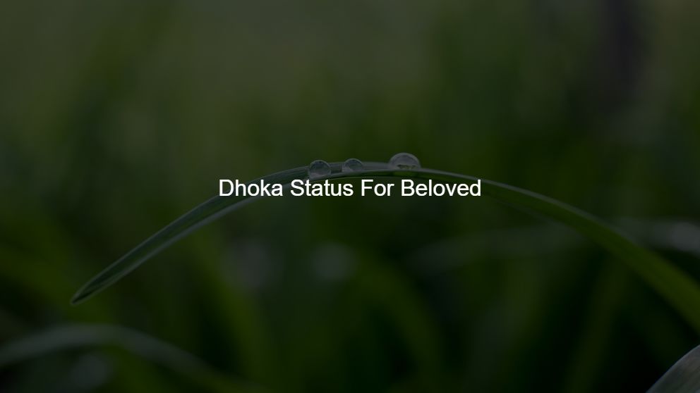 Dhoka Status For Beloved