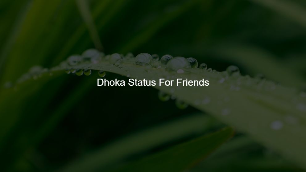Latest 450 Dhoka Status For Friends
