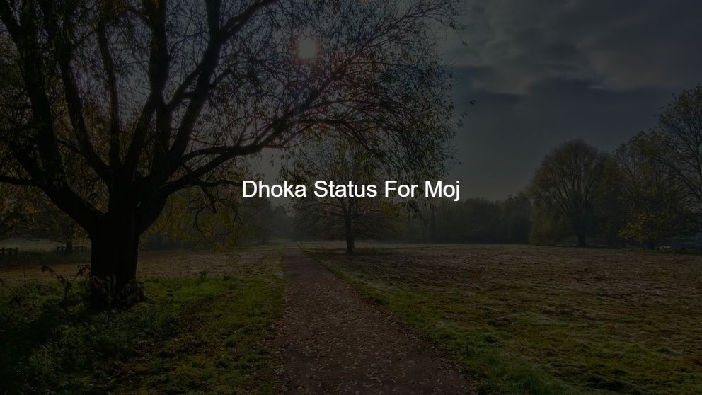 dhoka status video