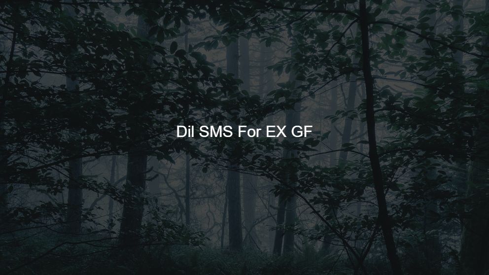 Latest 200 Dil SMS For EX GF