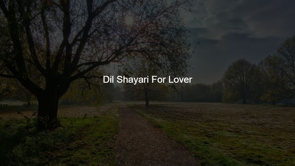Top 225 Dil Shayari For Lover