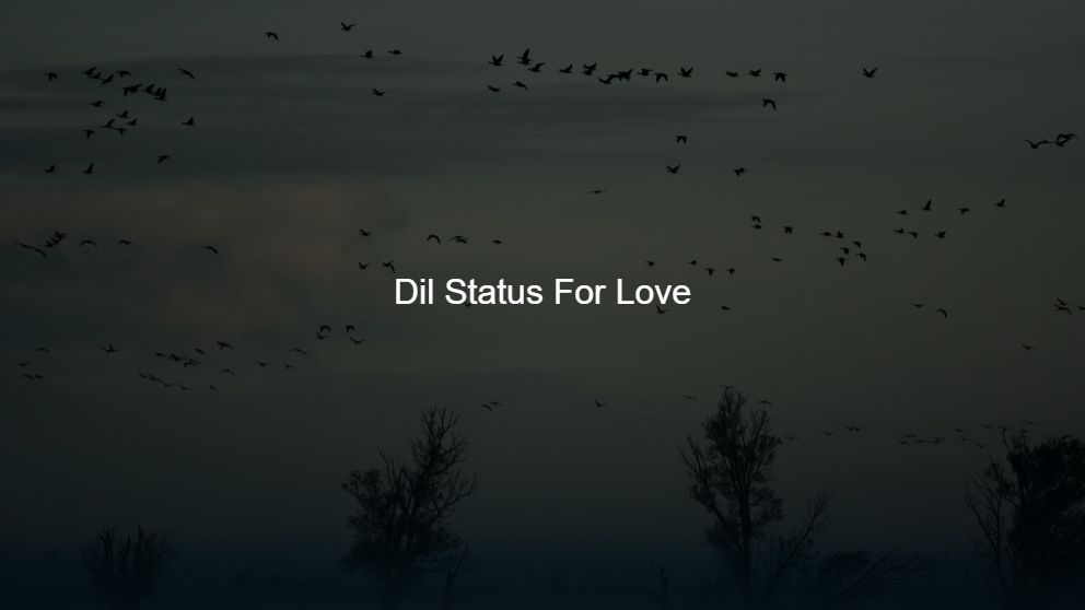 Top 275 Dil Status For Love