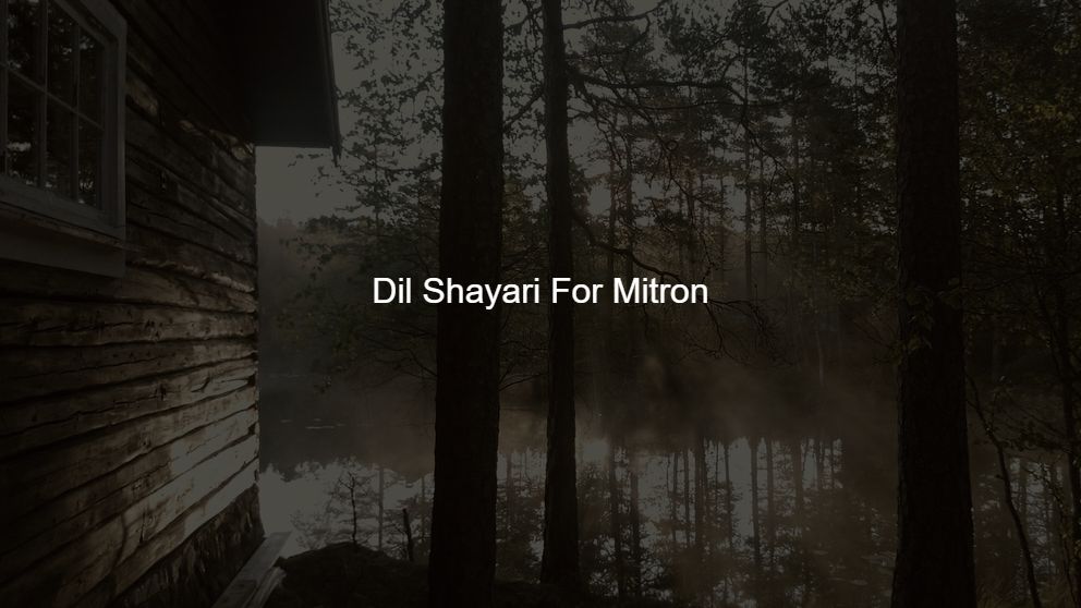 Latest 350 Dil Shayari For Mitron
