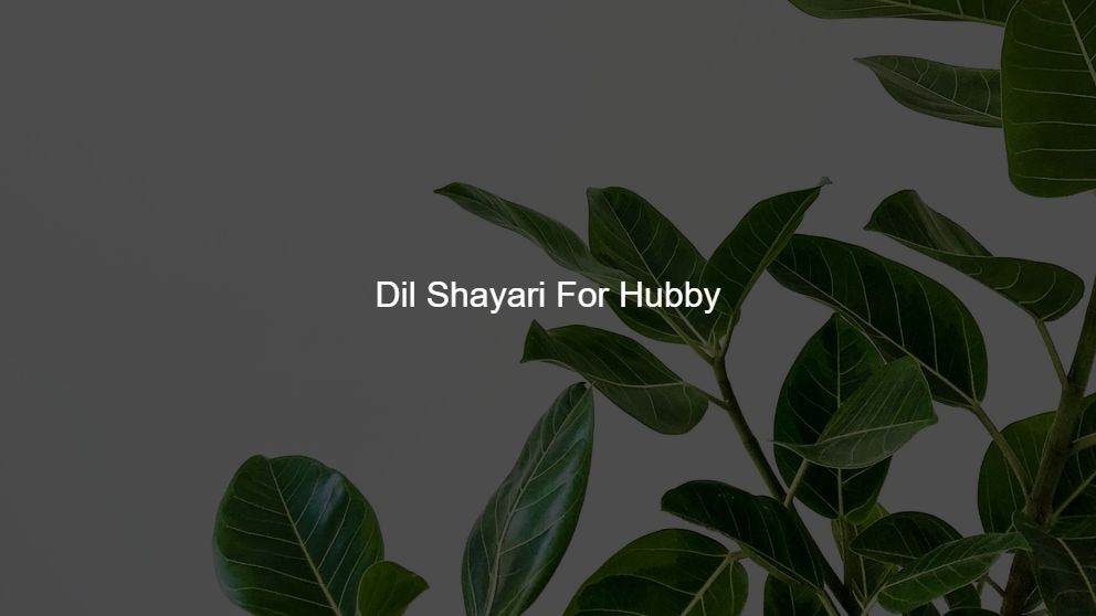 Top 300 Dil Shayari For Hubby
